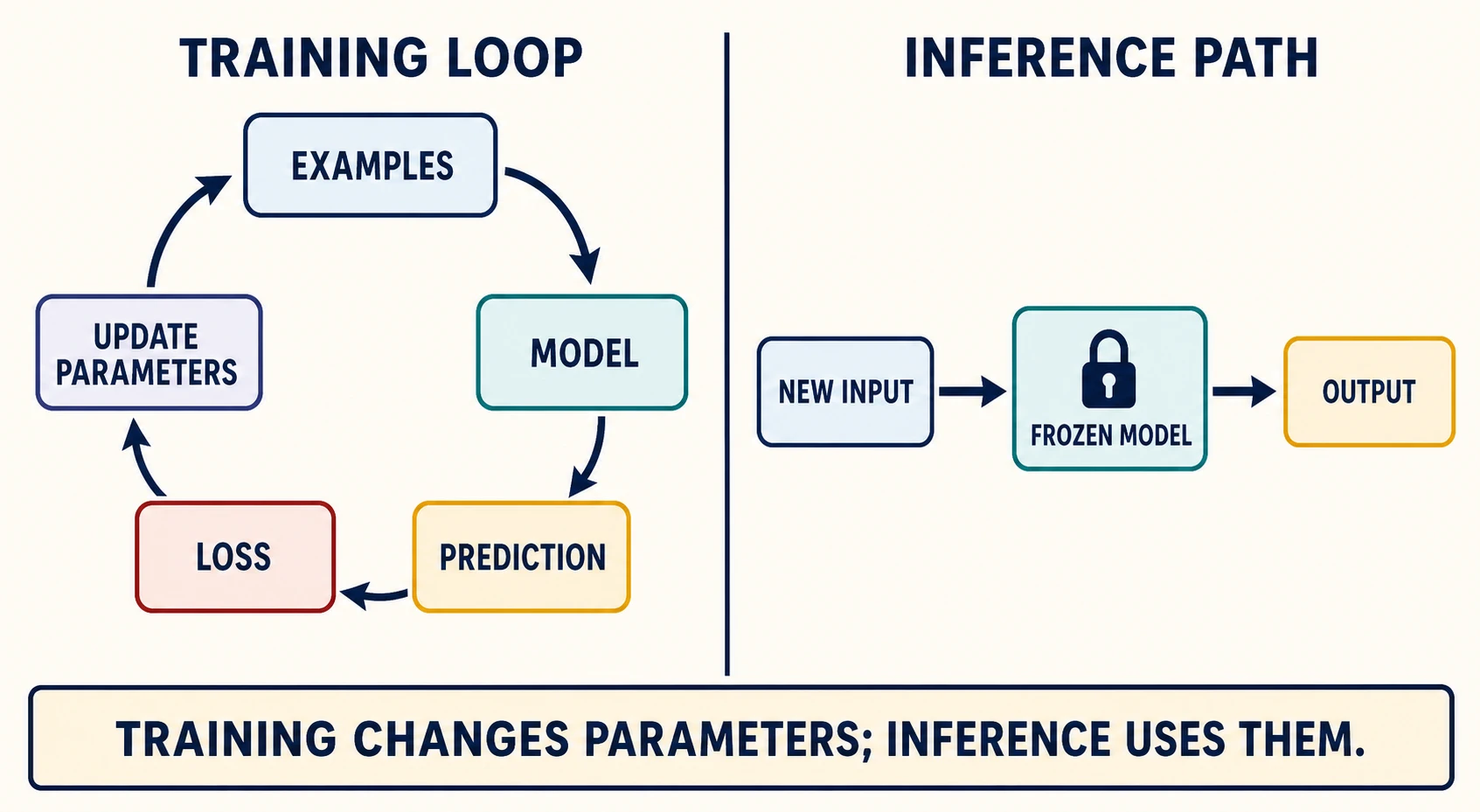 A left panel cycles examples through model, prediction, loss, and parameter update during training; a separate right panel sends a new input through a frozen model to an output during inference.